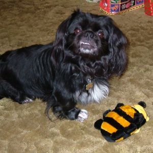 Meet your Posher, Sherri